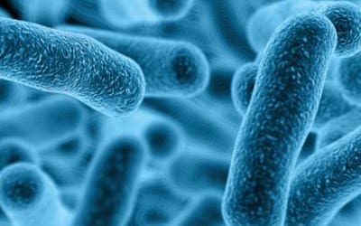 Legionella Online Training: Protecting Businesses and the General Public