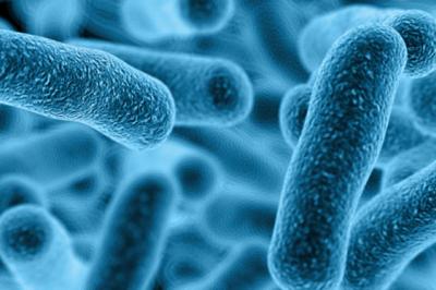 legionella online training