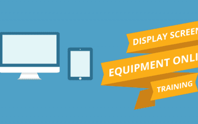 Display Screen Equipment Online Training