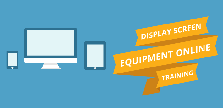 Display Screen Equipment Online Training